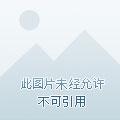逍遥九龙诀